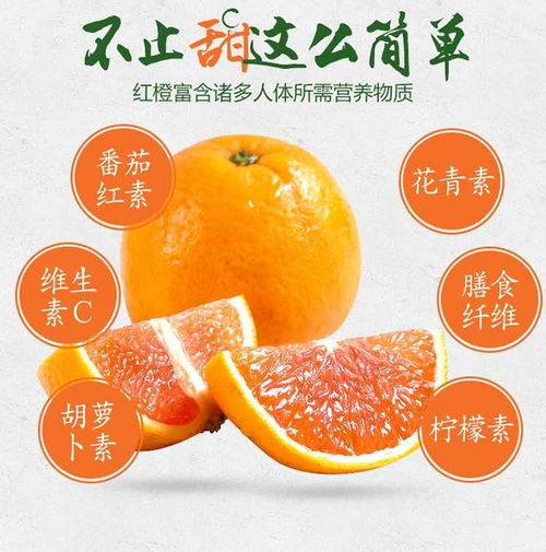 一葦農佳秭歸臍橙血橙中華紅 年貨禮盒中的冬日溫情