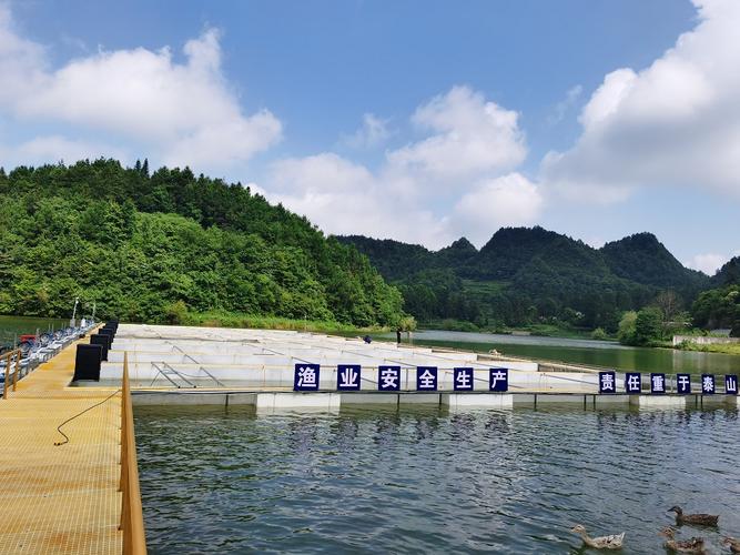 jyb-sz常規水質智能化監測系統 聚一搏漁業養殖水質監測方案